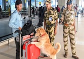 Govt directs CISF to check cargo, in-line baggage in view of enhanced security measures
