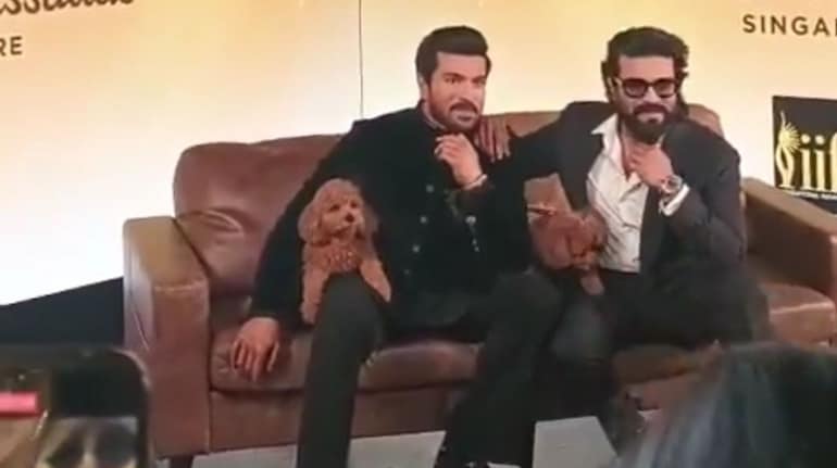 The wax statue, seated on a sofa, left Ram Charan’s pet Rhyme visibly puzzled, drawing laughter from the crowd.