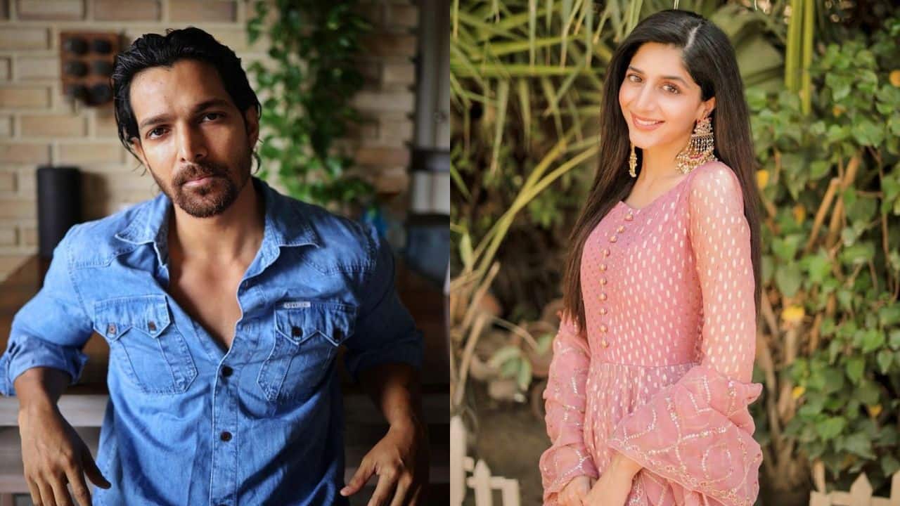 Harshvardhan Rane breaks silence after Pak actress Mawra Hocane calls his decision to back out from Sanam Teri Kasam sequel a 'PR strategy': 'So much hate in her speech'
