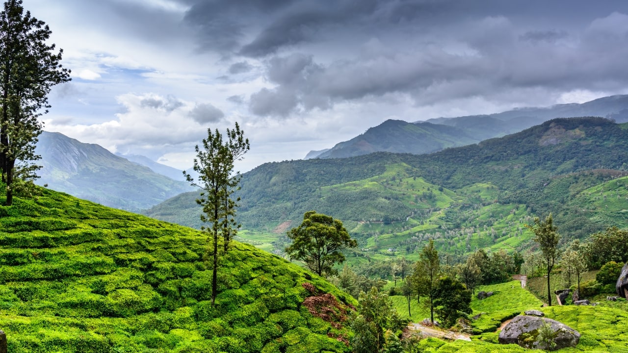 7. Wayanad, Kerala Wayanad’s eco-friendly allure lies in its natural beauty and focus on wildlife conservation. Explore wildlife sanctuaries, organic farms, and nature trails where kids can learn about the delicate balance of nature and the importance of eco-conscious travel in a region rich with biodiversity. (Image: Canva)