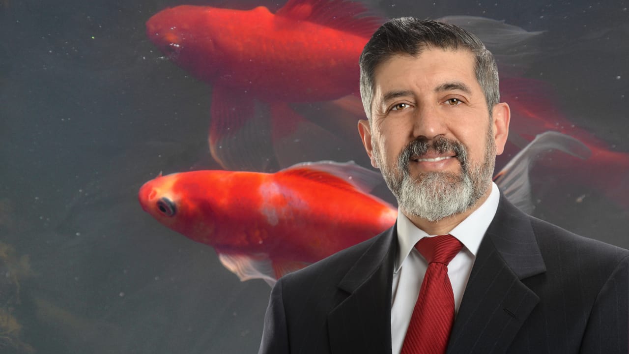 5. Pisces: For Pisces, 2025 promises financial prosperity through their dreams and ideas. Creative and intuitive, Pisces will find fertile ground for their ventures, whether in business or career. This year, trusting their instincts will lead them to new financial heights. 5. Pisces: For Pisces, 2025 promises financial prosperity through their dreams and ideas. Creative and intuitive, Pisces will find fertile ground for their ventures, whether in business or career. This year, trusting their instincts will lead them to new financial heights.