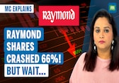 Raymond Share Price Tanks! But Is It a Hidden Goldmine? | MC Explains