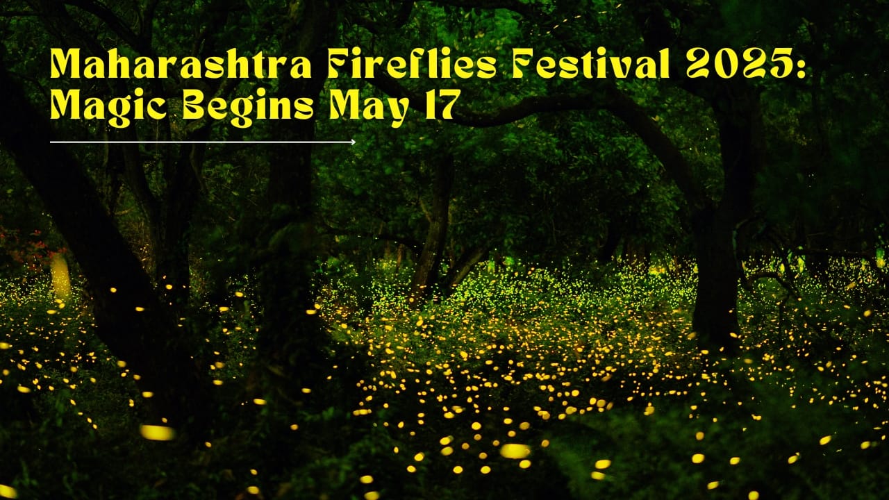 Fireflies Festival 2025: Maharashtra’s Forests Come Alive — When To Visit, Best Spots, Dos & Don’ts You Need To Know