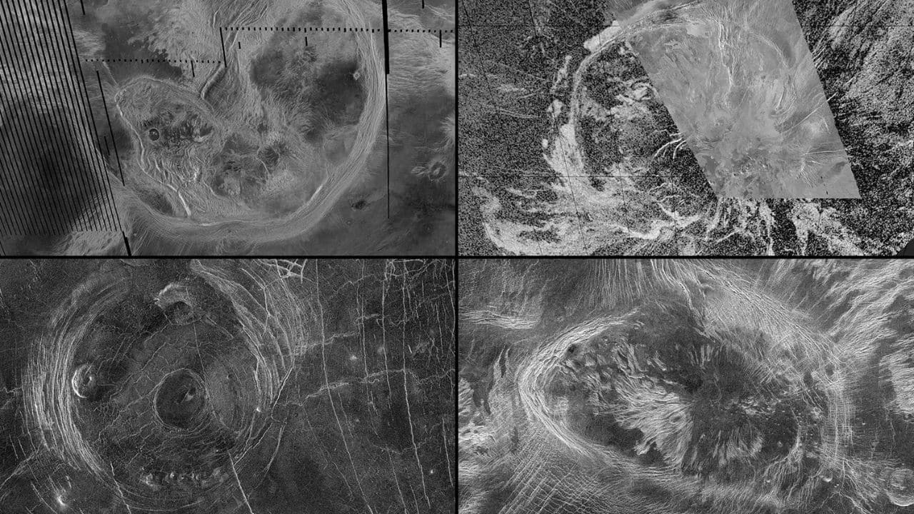New research suggests vast surface features on Venus called coronae continue to be shaped by tectonic processes. Observations of these features from NASA’s Magellan mission include, clockwise from top left, Artemis Corona, Quetzalpetlatl Corona, Bahet Corona, and Fotla Corona. (Image: NASA)