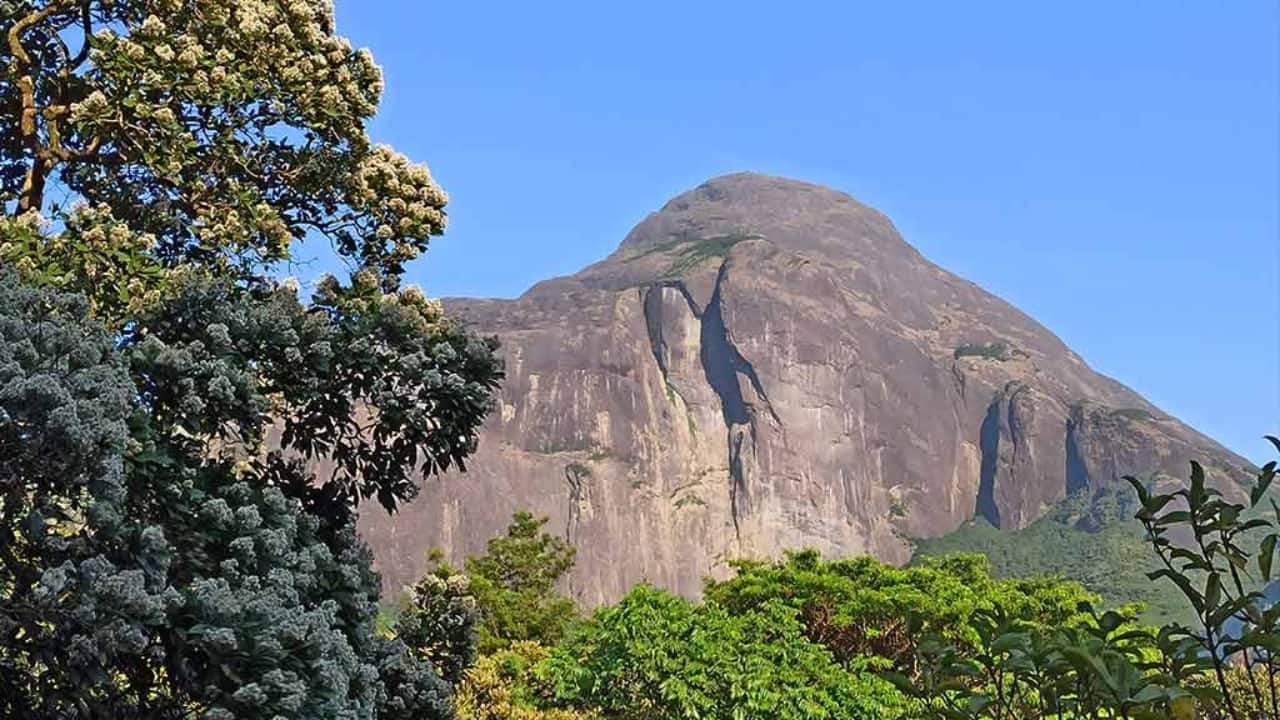 2. Agasthyakoodam, Kerala – Sacred Peaks and Untamed Trails One of the highest peaks in Kerala, Agasthyakoodam is revered in local folklore and teeming with biodiversity. The climb takes you through a reserved biosphere brimming with medicinal plants and the elusive Nilgiri Tahr. Best time to visit: January to March (permit required) (Image: Canva)