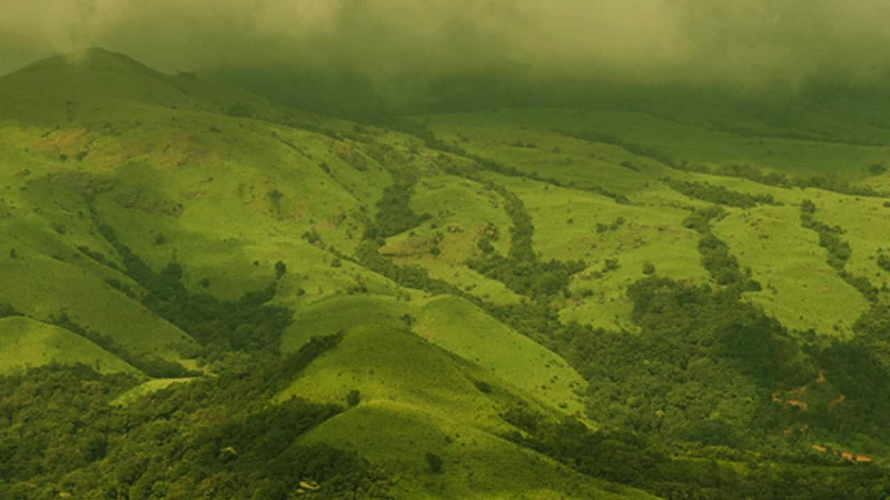 5. Tadiandamol, Coorg – Coorg’s Cloud-Wrapped Crown This lesser-known gem snakes through coffee estates and shola forests to Coorg’s highest peak. On a clear day, the views stretch endlessly across verdant valleys and ridgelines. Best time to visit: October to February (Image: Canva)