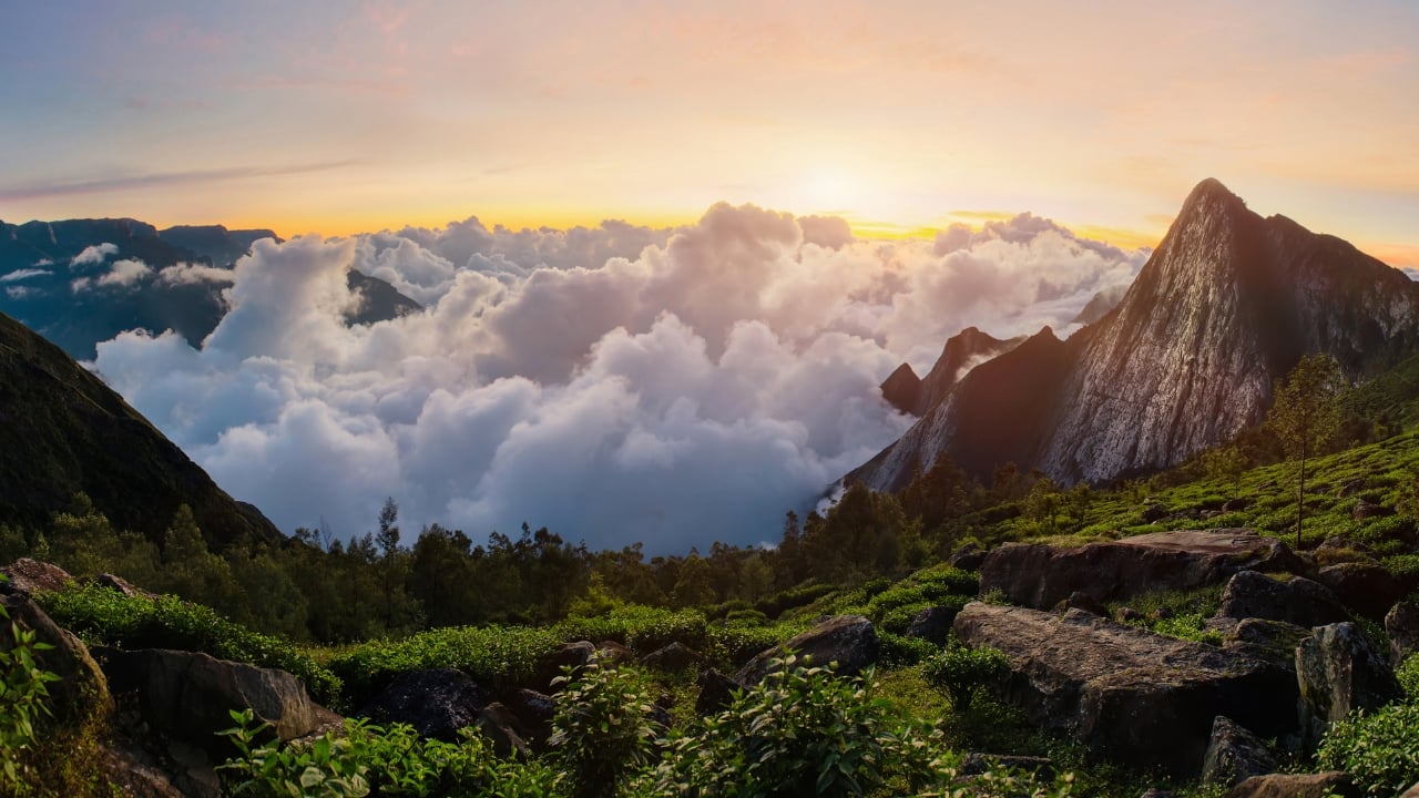 7. Meesapulimala, Kerala – A Walk Above the Clouds The second-highest peak in the Western Ghats, Meesapulimala’s trail cuts through rhododendron valleys and windswept grasslands. A challenging but soul-stirring journey. Best time to visit: November to March (Image: Canva)