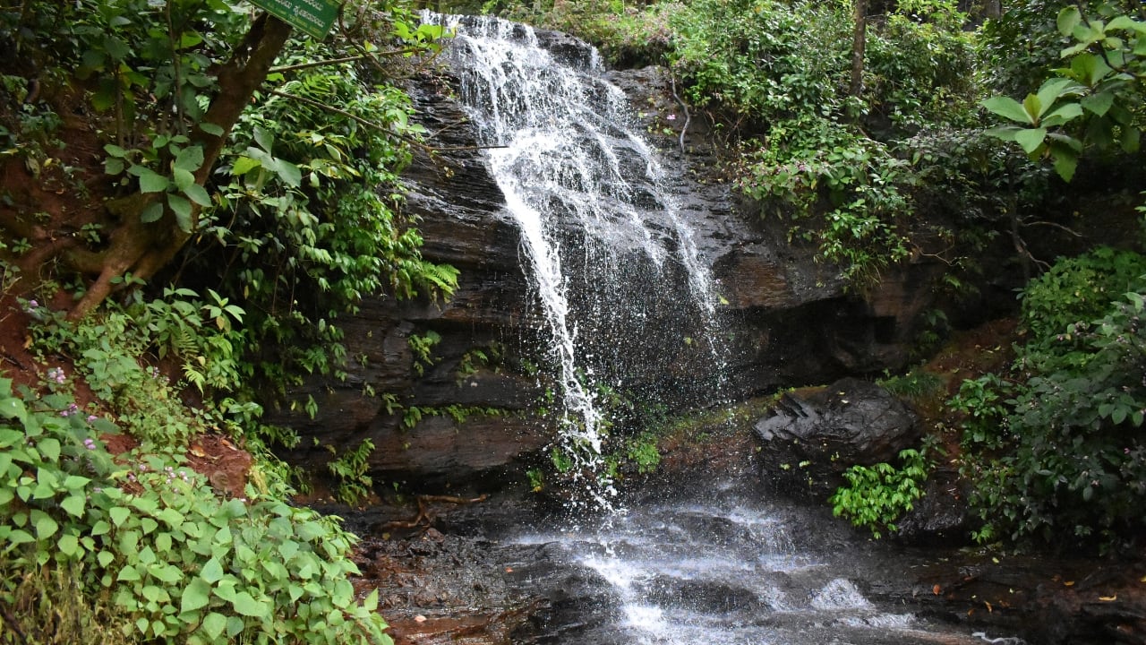 10. Kemmangundi, Karnataka – Tranquility Meets Terrain Popular yet peaceful, Kemmangundi is a hill station known for its botanical gardens, waterfalls, and undulating trekking trails. Ideal for a quick nature getaway. Best time to visit: September to February (Image: Canva)