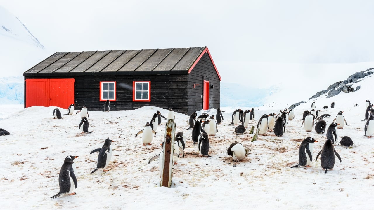 Inside the Penguin Post Office: Life at the World’s Most Remote Post Office in Antarctica
