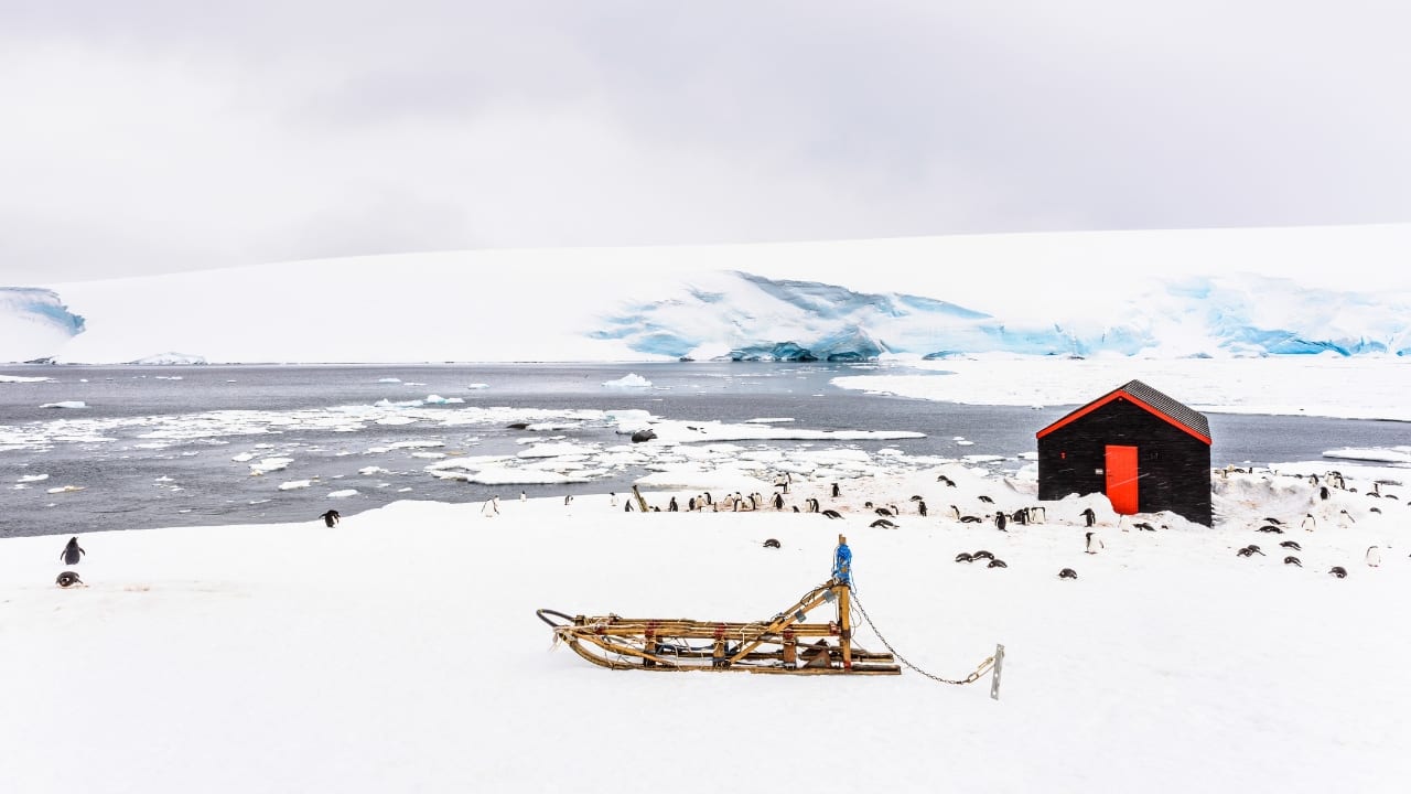 Port Lockroy (Image: Canva)