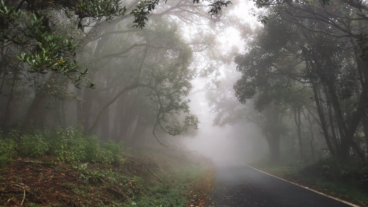 Far from the crowds, close to the clouds — Kinnakorai is peace wrapped in pine-scented air. (Image: Canva)