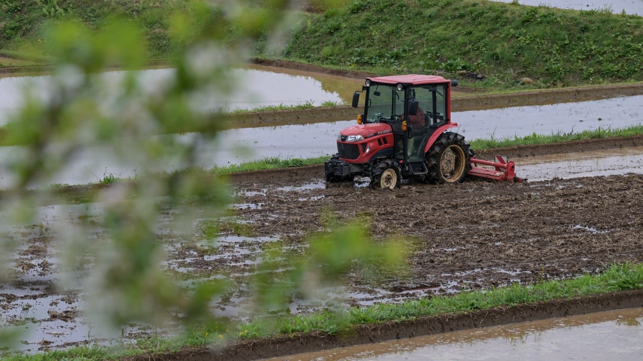 Japan’s rice crisis topples minister as soaring prices fuel political turmoil