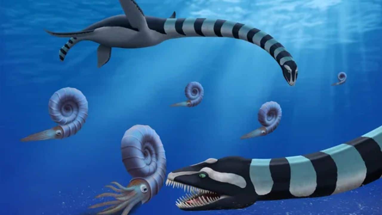 Scientists discover Traskasaura sandrae: Mystery of 85-million-year-old sea monster solved