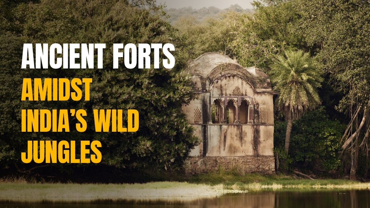 5 Historic Forts You’ll Stumble Upon on a Jungle Safari in India