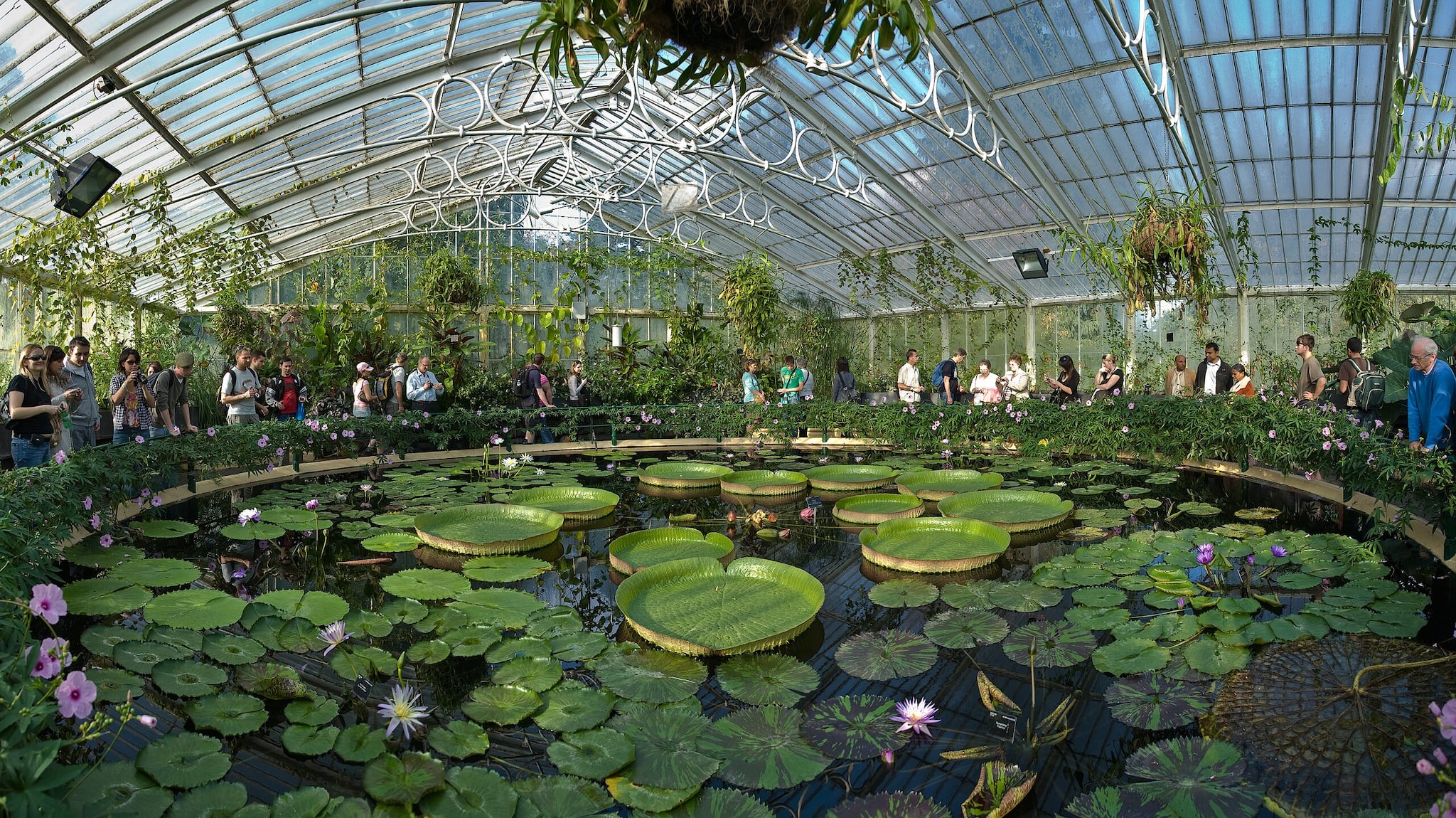 Waterlily House in Kew Gardens, London. (Photo by Diliff via Wikimedia Commons 3.0)