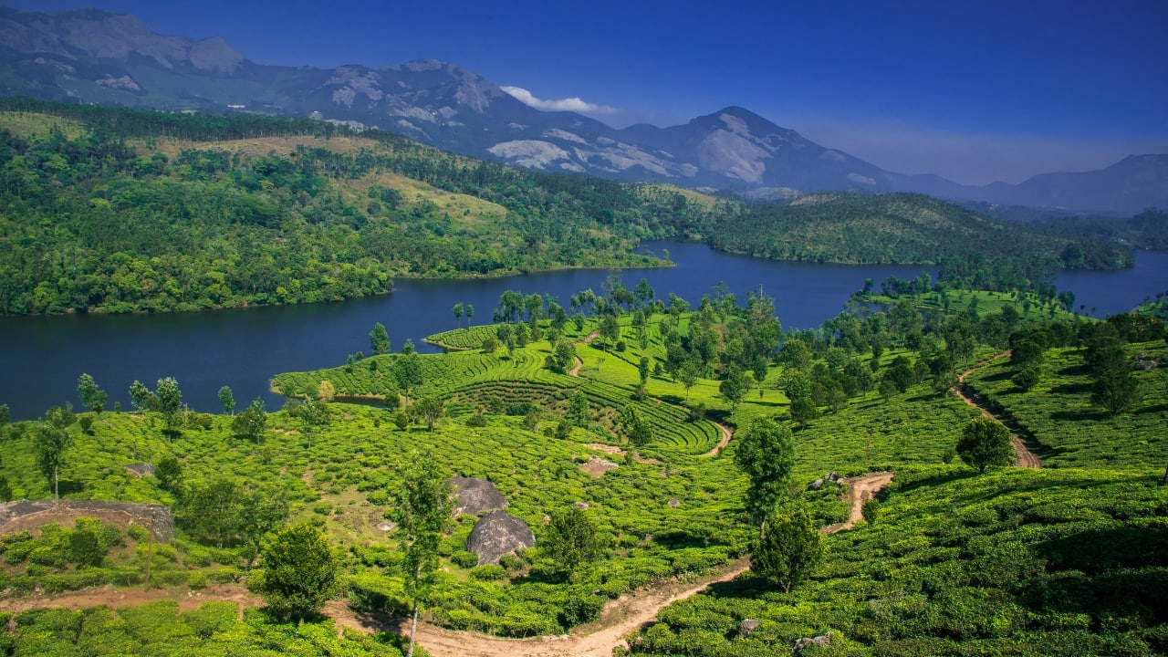Kerala leads India’s record faunal discoveries in 2024, emerges as top biodiversity hub Kerala leads India’s record faunal discoveries in 2024, emerges as top biodiversity hub