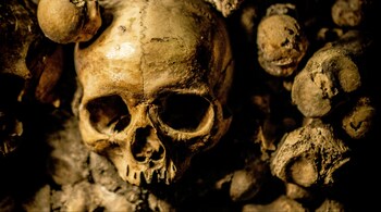 A DNA test conducted on the skull fragments earlier this month found a 99.9 percent genetic match with a living relative, proving that the remains were indeed of the missing student, Douglas Brick. (Representational image: Unsplash)