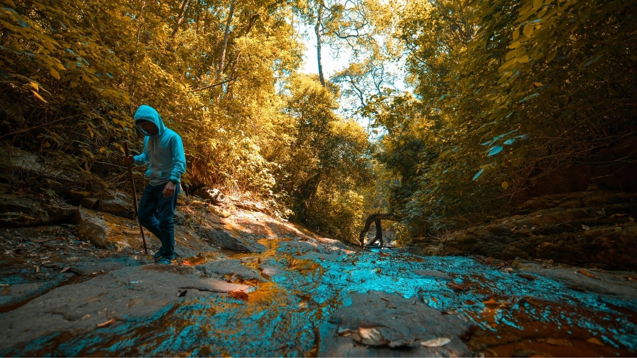 Wayanad, Kerala (Image: Canva)