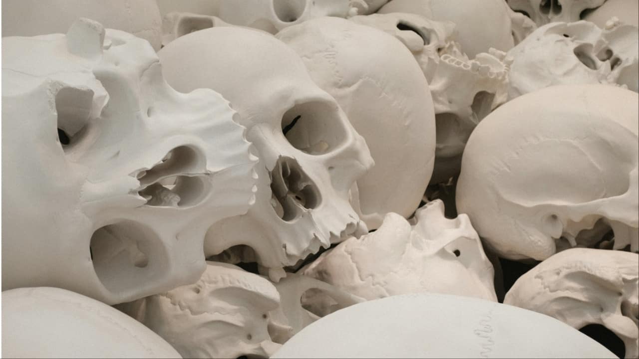 Pit cleaning turns chilling: Bones, skull discovered at Bengaluru apartment complex