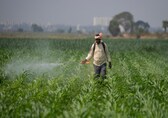 Cabinet approves continuation of interest subvention scheme for farmers