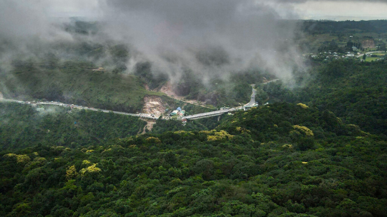 Carbon stored in India's forests projected to rise in all major forest regions but not evenly: Study