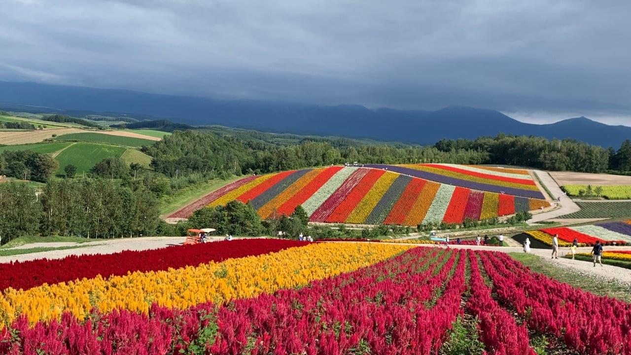 Hokkaido, Japan (Image: Canva)