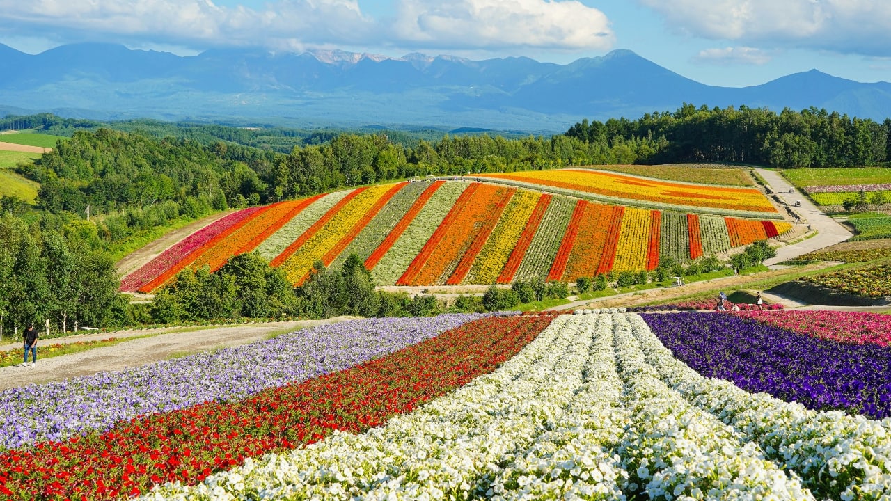 Hokkaido, Japan (Image: Canva)