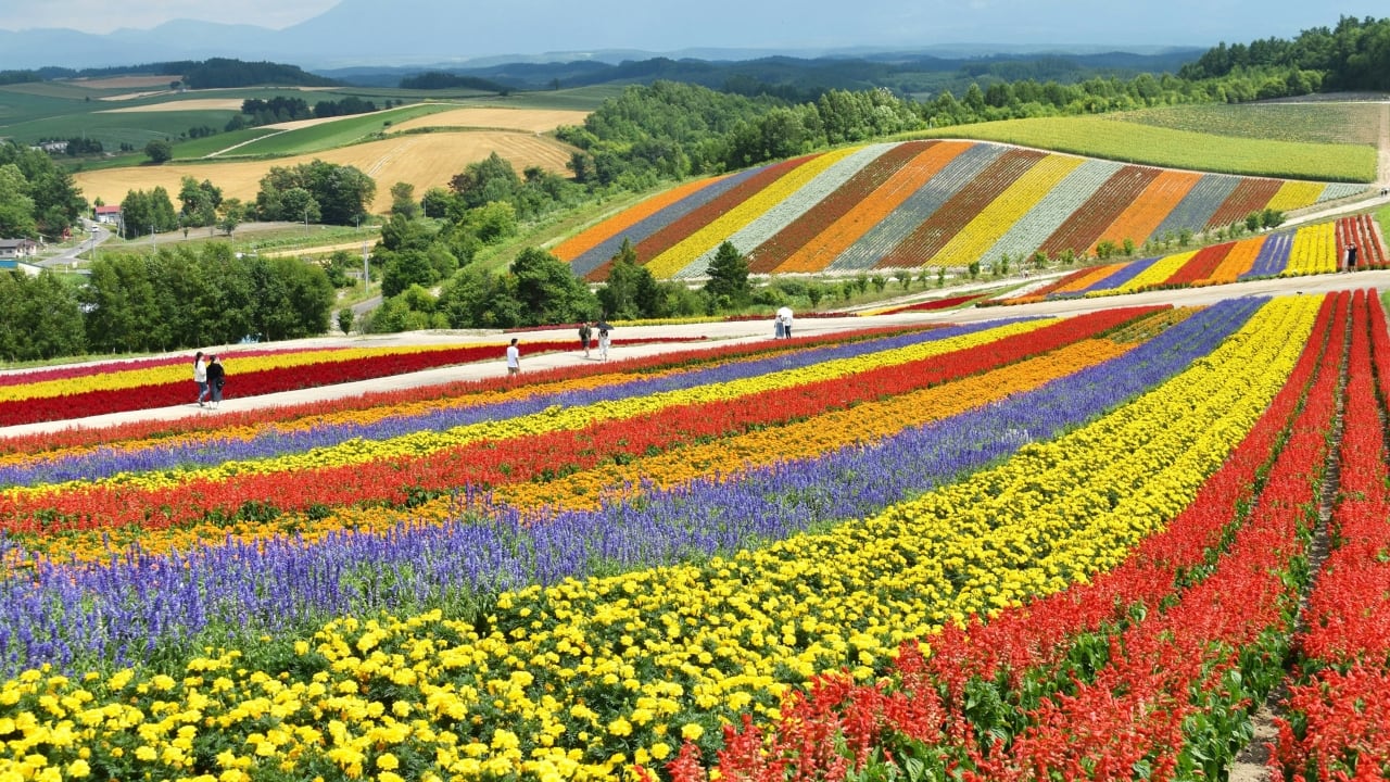 Hokkaido, Japan (Image: Canva)