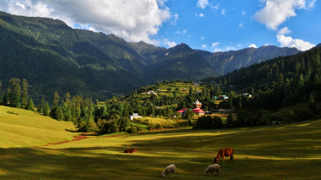 Shangarh, Himachal Pradesh (Image: Canva)