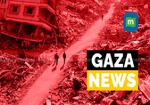 Gaza News Highlights, 01 September 2025: Diplomats meet in Cairo to discuss Gaza hunger crisis and global food security