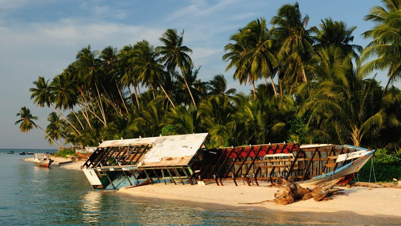 6. Derawan Islands, East Kalimantan Few places let you swim with whale sharks in the morning and snorkel a jellyfish lake by lunch — but Derawan, with its eco-rich isolation, makes the impossible possible. (Image: Canva)