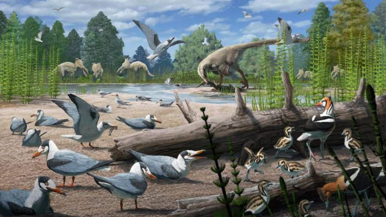 Arctic hatchlings: Study finds birds nested with dinosaurs 73 million years ago