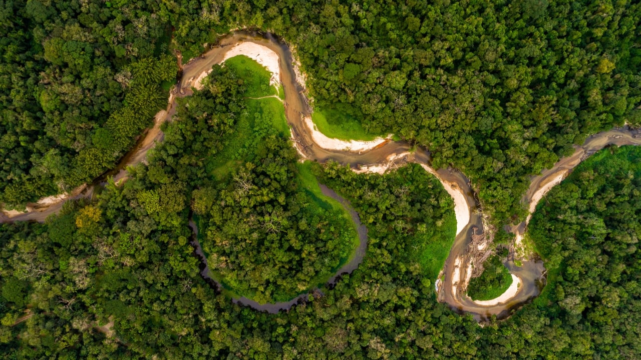 10. Amazon Rainforest, South America Often called the lungs of the Earth, the Amazon rainforest is vital to global health. Deforestation and fires are devastating this vast ecosystem. Join an eco-conscious tour to experience its vibrant life and support efforts to protect it. (Image: Canva)