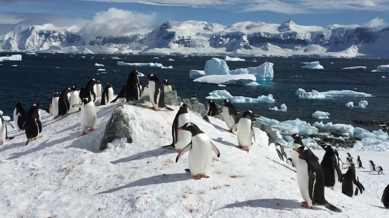 There’s a unique thrill in knowing you’re witnessing something rare—something that won’t be around forever. Across the globe, stunning landscapes, ancient cities, and fragile ecosystems face threats from climate change, human activity, and the passage of time. For travelers eager to experience the world’s wonders before they disappear, this list is your urgent call to pack your bags. With World Environment Day 2025 just around the corner on June 5, a powerful reminder of our responsibility to protect the planet, there’s no better moment to explore some of Earth’s most breathtaking places—before they vanish forever. Here are 10 jaw-dropping destinations you absolutely must visit before they disappear from the map. (Image: Canva)