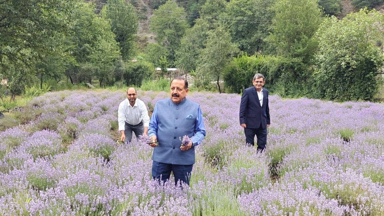 Jitendra Singh at Lavender Festival in Bhaderwah on June 2, 2025 (Image: PIB)