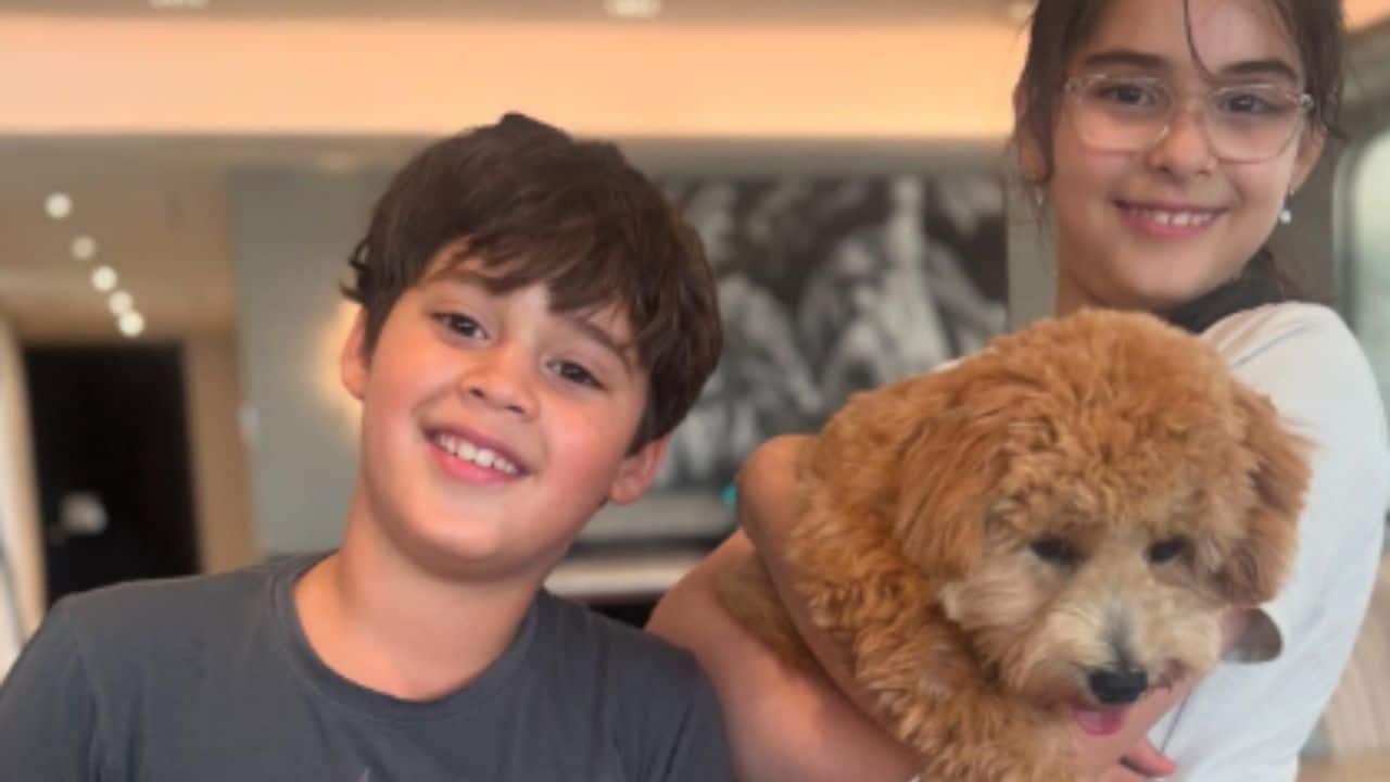 Karan Johar introduces his adorable new pet, calls him 'Nugget Johar', see pics