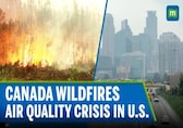 Canadian Wildfire Raises Concern Over Air Quality In U.S. Midwest | AQI Turns 'Very Unhealthy'| N18G