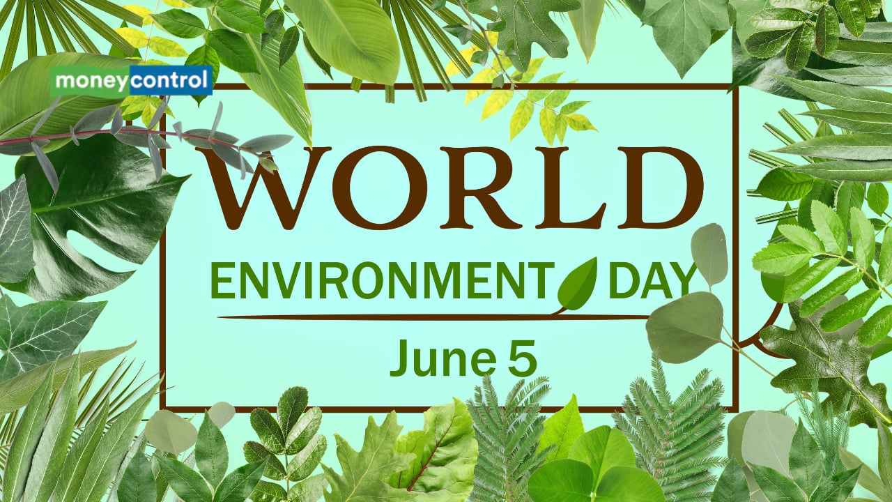 World Environment Day 2025: Speech and Essay Ideas for Students in English