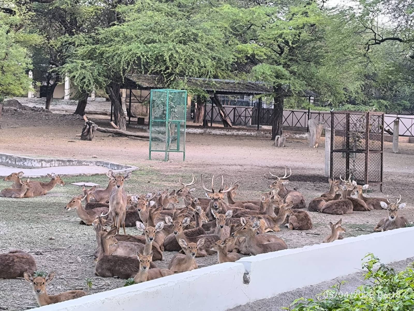 Night safari at Delhi zoo? Glass enclosures, combo tickets with Purana Qila and more planned