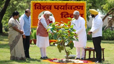 World Environment Day 2025: PM Modi Launches ‘Aravalli Green Wall’ Campaign to Reforest One of the World’s Oldest Mountain Ranges