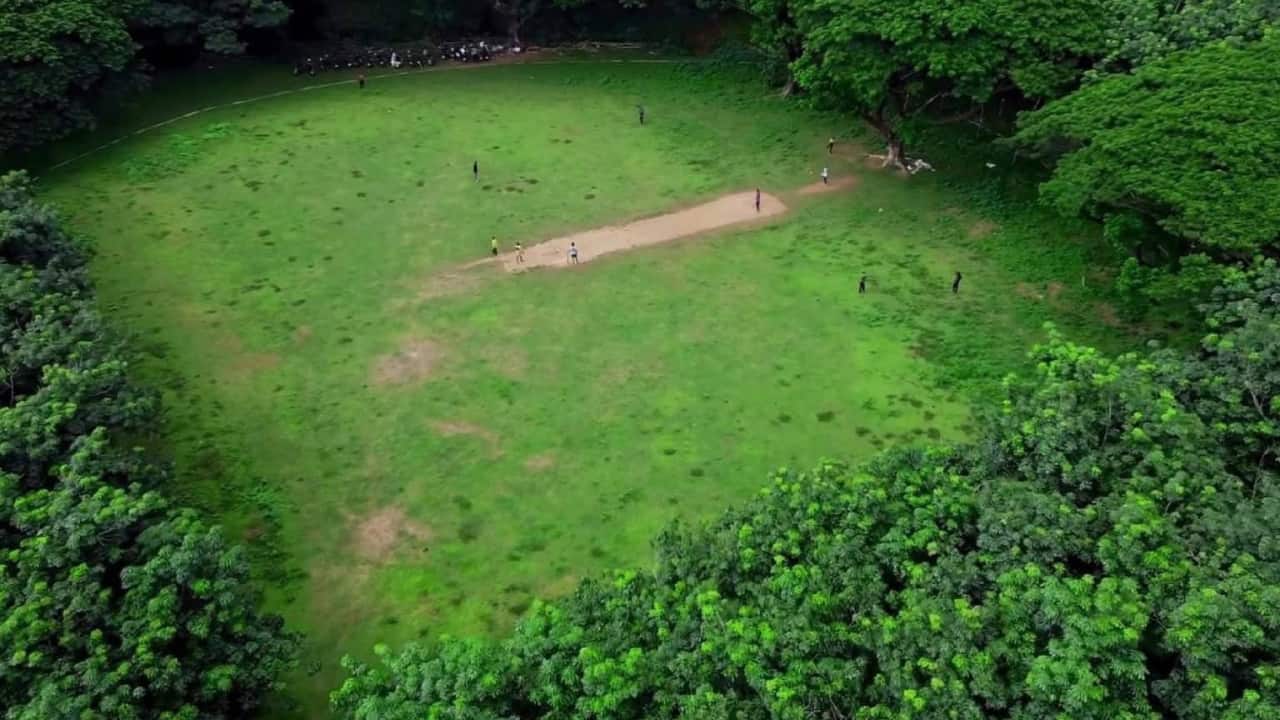 Cricket in the Jungle? Kerala’s Hidden Field Looks Straight Out of the Amazon
