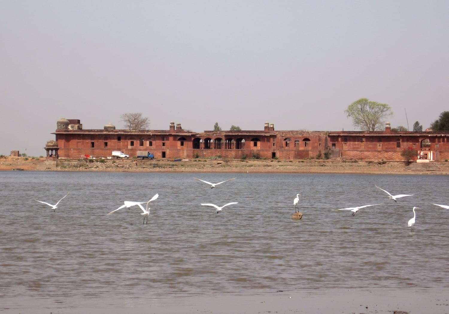 The Lal Mahal at Bari seen in the winter with birds in the lake. (Image source: Arjun Kumar)