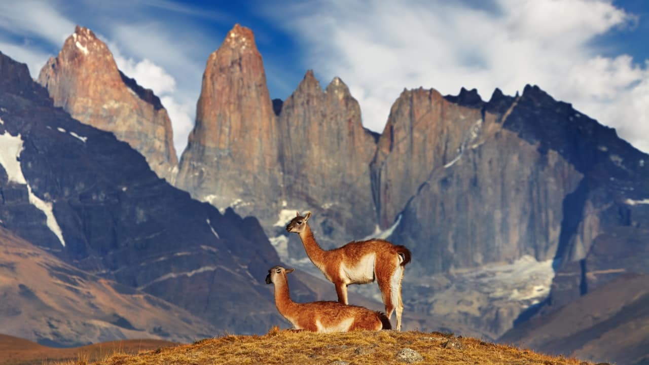 5. Torres del Paine National Park, Chile If raw, rugged wilderness calls your name, Torres del Paine answers with dramatic granite peaks, shimmering glaciers, and emerald lakes. Hiking here is nothing short of walking inside a postcard. (Image: Canva)