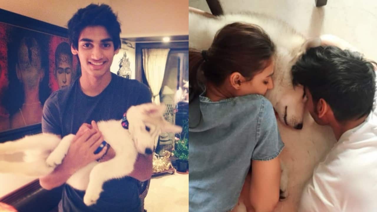 Athiya Shetty, Ahan Shetty pay emotional tribute to their dog Brody, writes "I can’t even imagine a life and home without you"