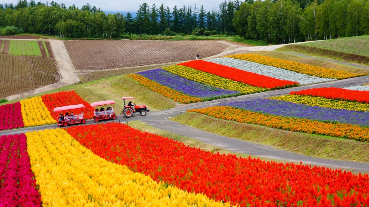 1. Hokkaido, Japan Vast, open skies, cool mountain air, and roads that stretch endlessly into the countryside—Hokkaido is Japan’s ultimate cycling escape. This northern island offers scenic trails for every skill level, from easy-going coastal rides to forest-lined mountain climbs. After a long day in the saddle, unwind at a traditional Ryokan and soak in an onsen, the perfect end to a day immersed in nature and Japanese hospitality. (Image: Canva)