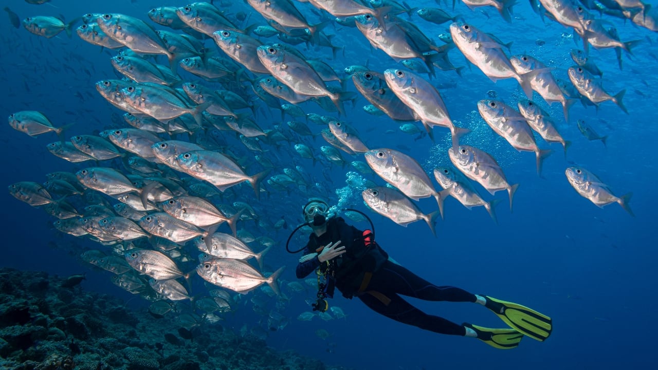 Palau (Image: Canva)