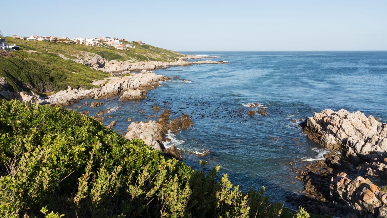 5. Gansbaai, South Africa Known as the great white shark capital of the world, Gansbaai provides unparalleled cage diving experiences. The clear waters and reliable shark activity make it a must-visit for anyone eager to see these powerful predators safely. (Image: Canva) 5. Gansbaai, South Africa Known as the great white shark capital of the world, Gansbaai provides unparalleled cage diving experiences. The clear waters and reliable shark activity make it a must-visit for anyone eager to see these powerful predators safely. (Image: Canva)