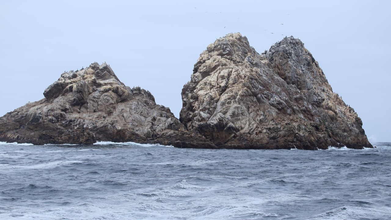 7. Farallon Islands, California Situated off the coast of San Francisco, the Farallon Islands are a prime location for great white shark sightings, especially during seal pup season. These remote islands are popular among researchers and adventurous divers. (Image: Canva) 7. Farallon Islands, California Situated off the coast of San Francisco, the Farallon Islands are a prime location for great white shark sightings, especially during seal pup season. These remote islands are popular among researchers and adventurous divers. (Image: Canva)