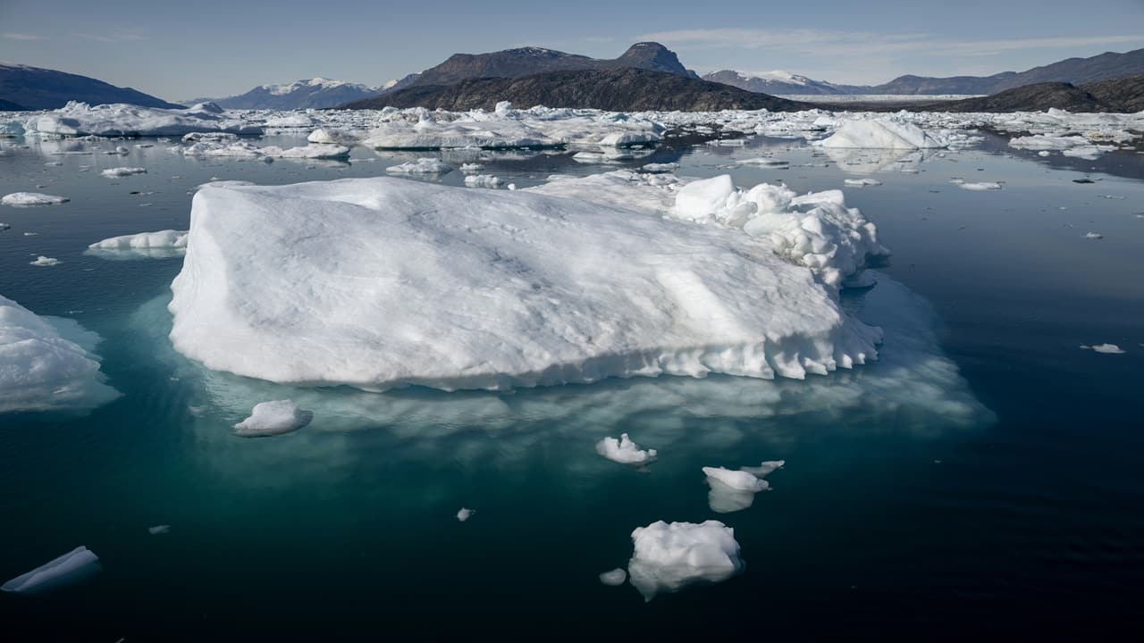 Earth’s second hottest May: Ocean heat and Arctic meltdown raise climate alarms