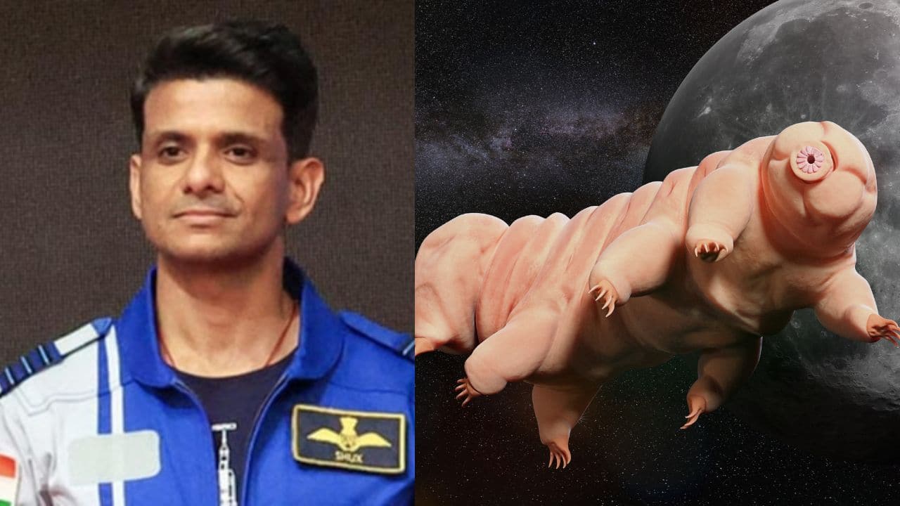 Eight-legged water bear to travel to space: Here's why Shubhanshu Shukla is taking a tardigrade on a space mission